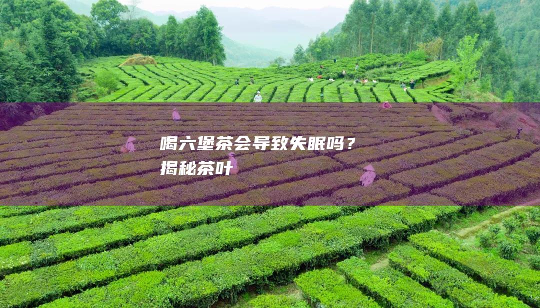 喝六堡茶会导致失眠吗？揭秘茶叶