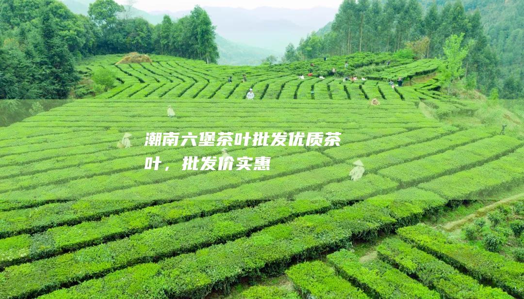 潮南六堡茶叶批发：优质茶叶，批发价实惠