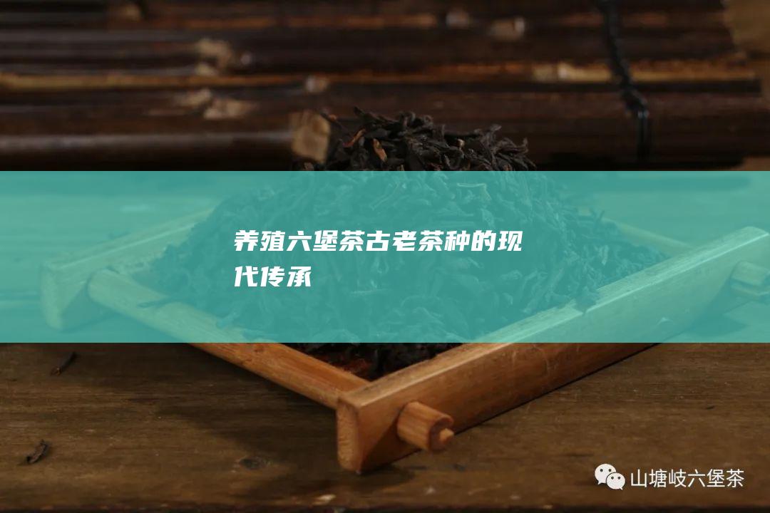 养殖六堡茶古老茶种的现代传承