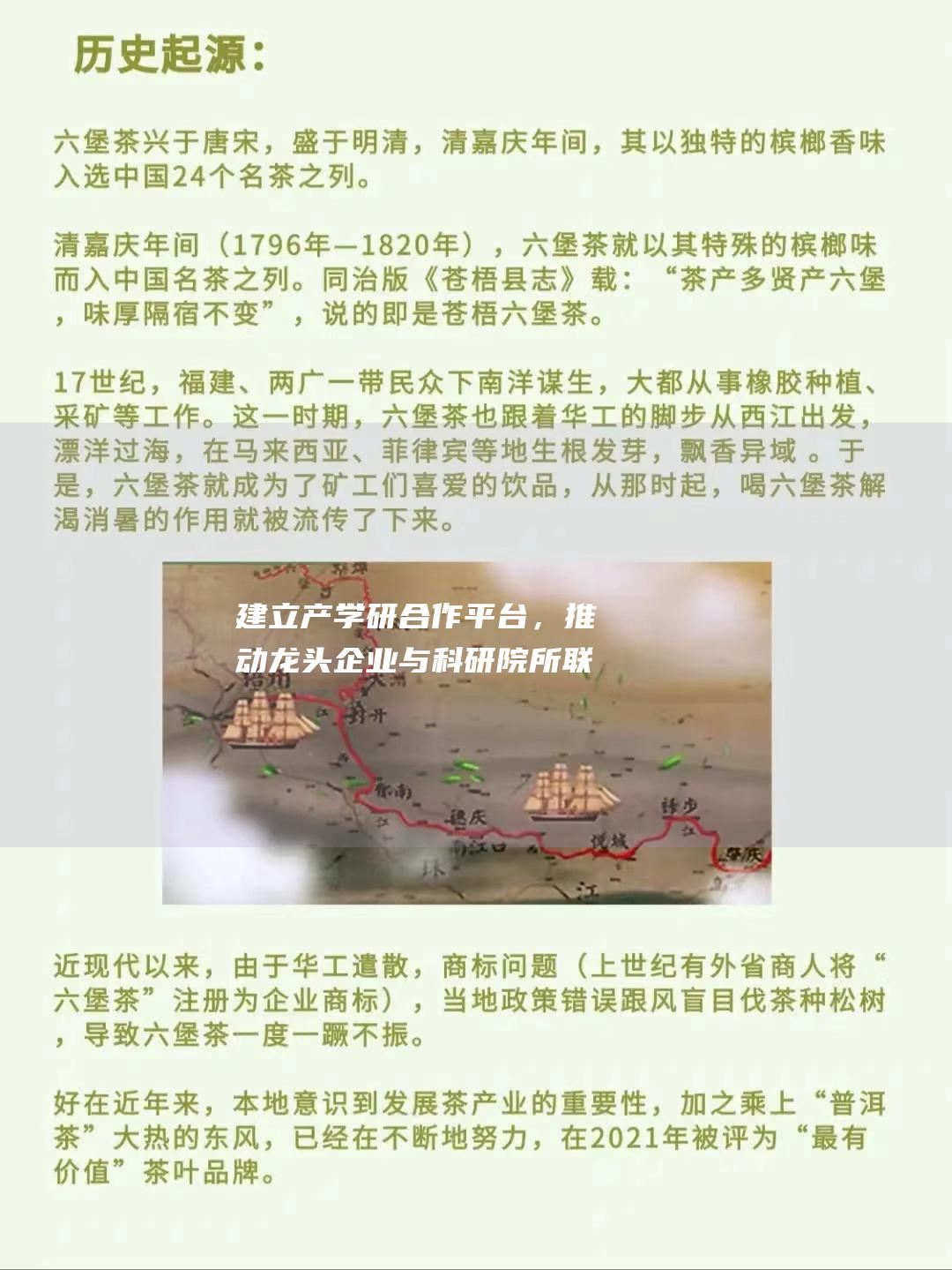 建立产学研合作平台，推动龙头企业与科研院所联合攻关。