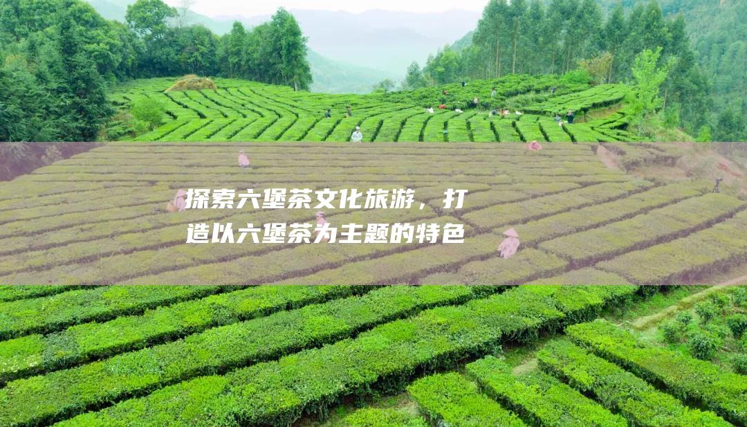 探索六堡茶文化旅游，打造以六堡茶为主题的特色