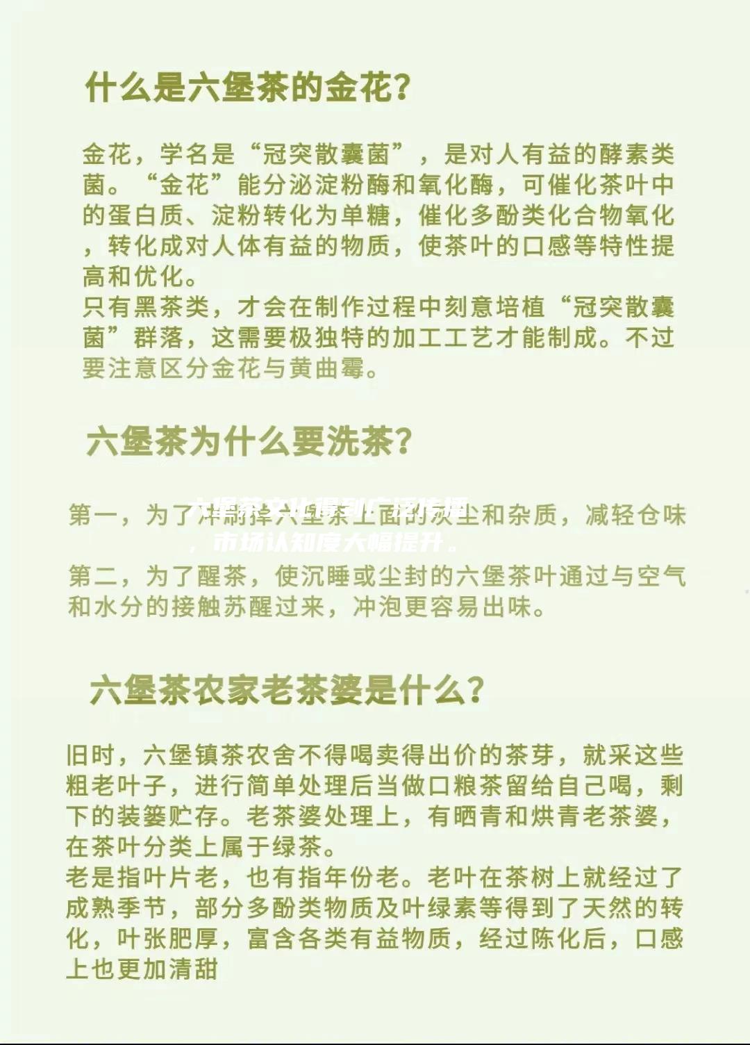 六堡茶文化得到广泛传播，市场认知度大幅提升。