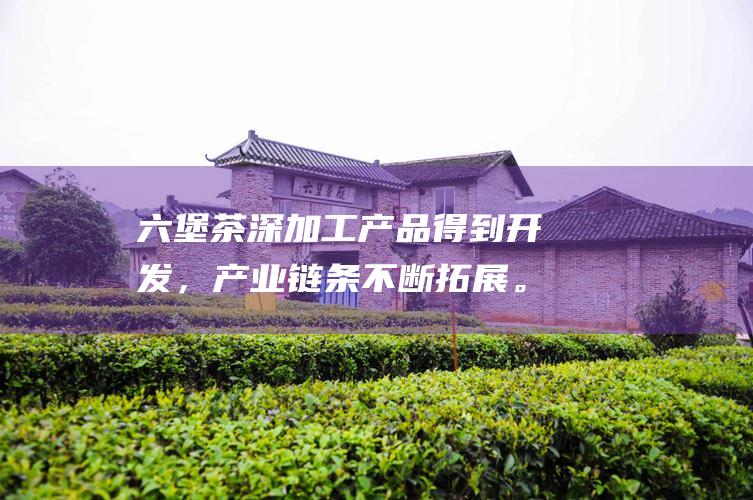 六堡茶深加工产品得到开发，产业链条不断拓展。