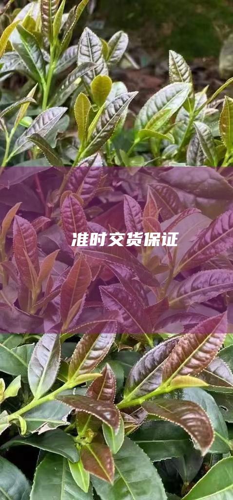 准时交货保证