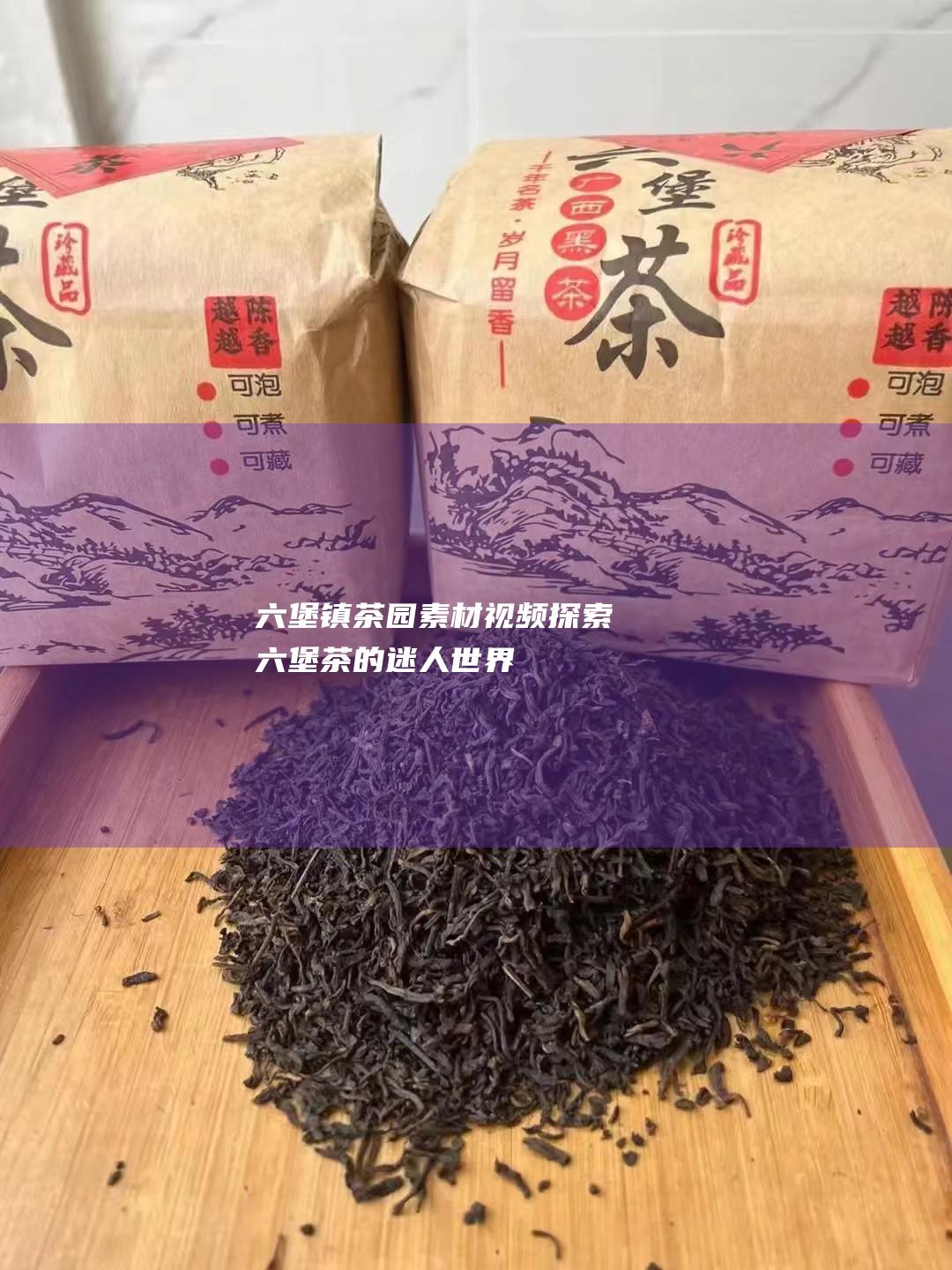 六堡镇茶园素材视频：探索六堡茶的迷人世界