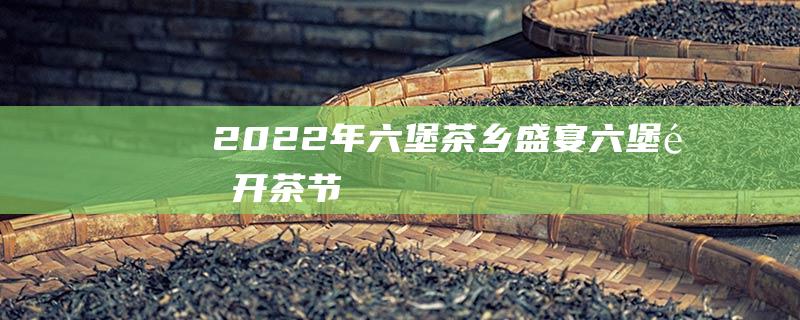 2022年六堡茶乡盛宴 - 六堡镇开茶节