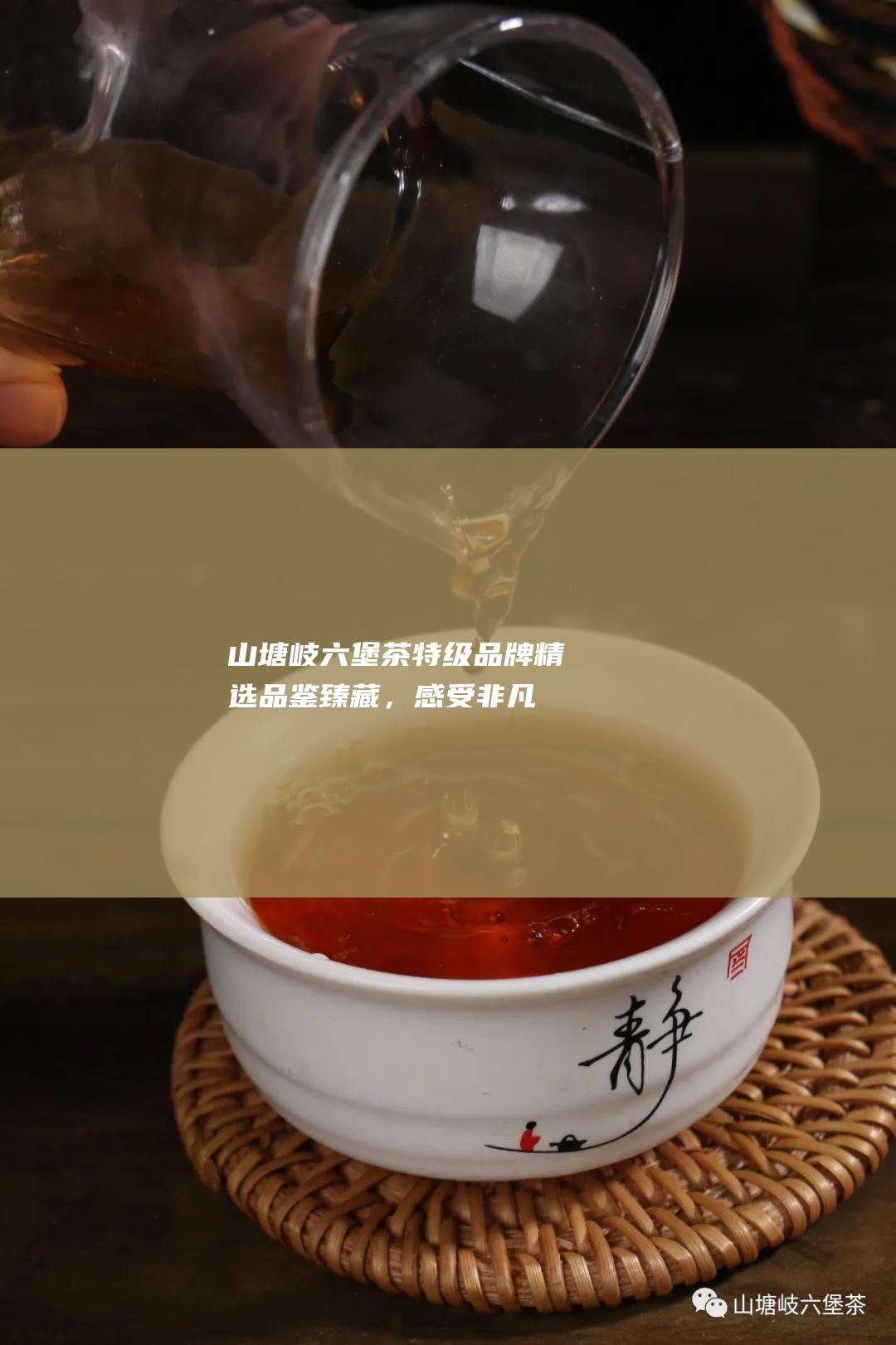 山塘岐六堡茶特级品牌精选：品鉴臻藏，感受非凡香醇