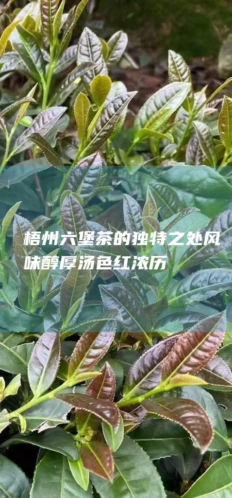 梧州六堡茶的独特之处：风味醇厚、汤色红浓、历史悠久