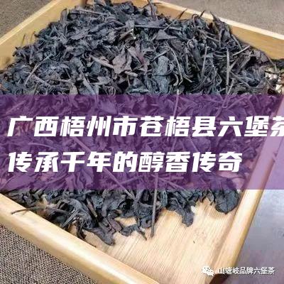 广西梧州市苍梧县六堡茶：传承千年的醇香传奇