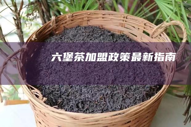 六堡茶加盟政策：最新指南