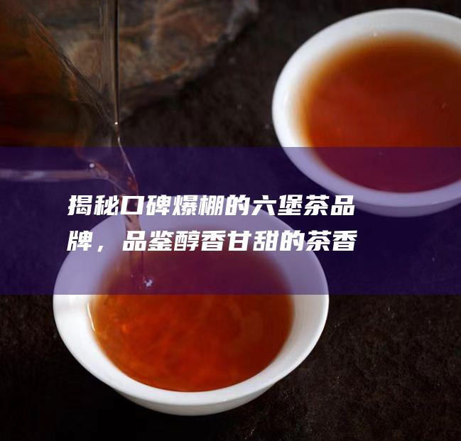 揭秘口碑爆棚的六堡茶品牌，品鉴醇香甘甜的茶香之旅