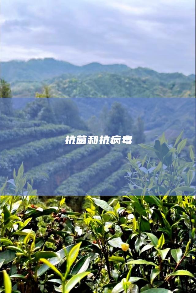 抗菌和抗病毒