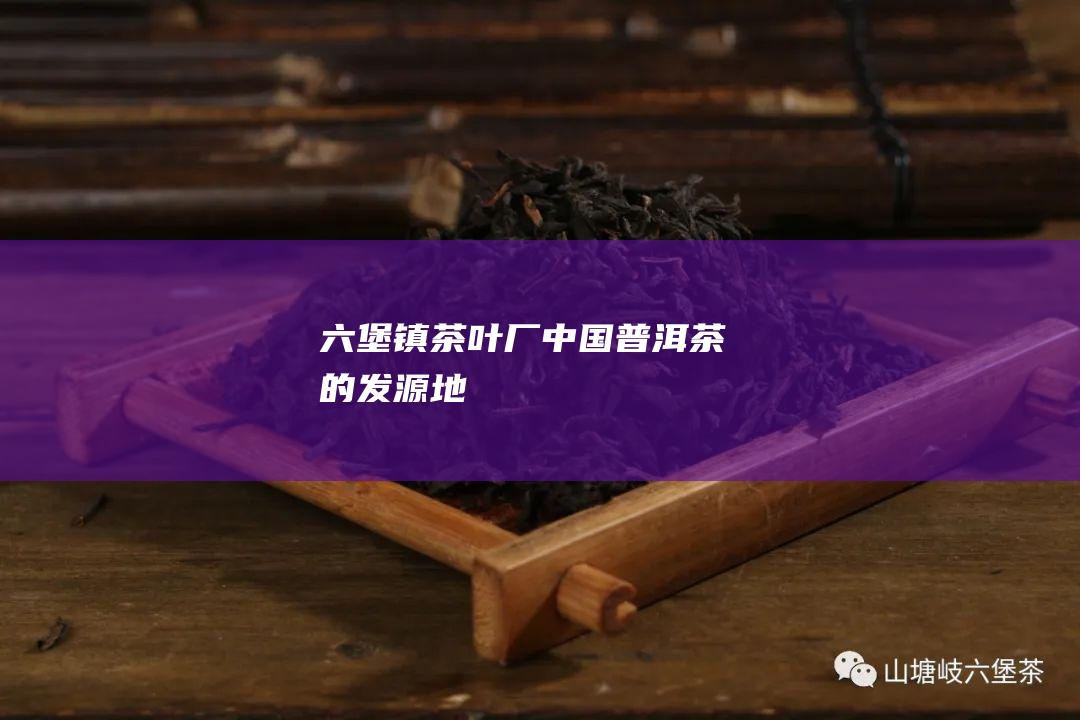 六堡镇茶叶厂：中国普洱茶的发源地