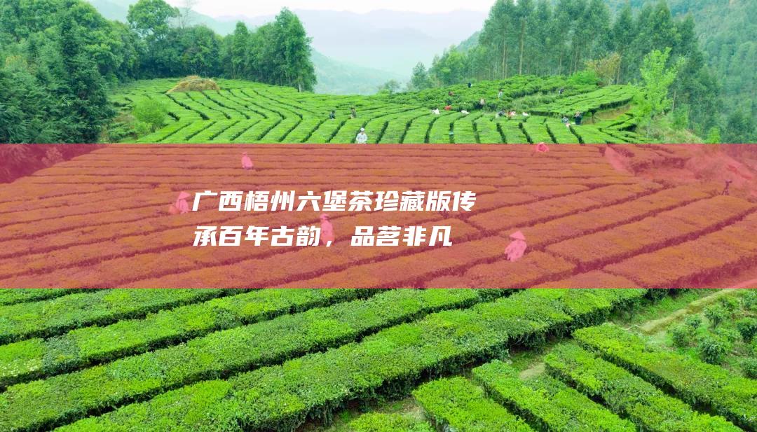 广西梧州六堡茶珍藏版：传承百年古韵，品茗非凡体验