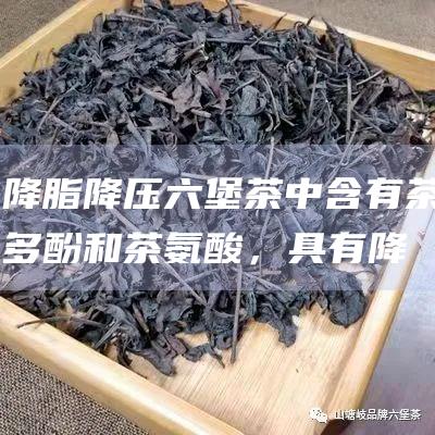 降脂降压：六堡茶中含有茶多酚和茶氨酸，具有降脂降压的功效。