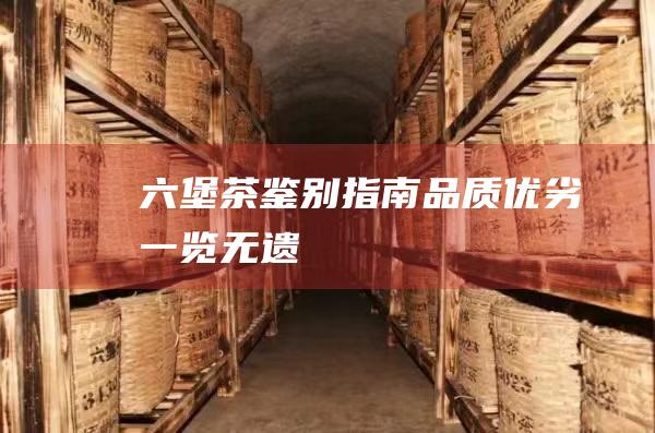 六堡茶鉴别指南：品质优劣一览无遗