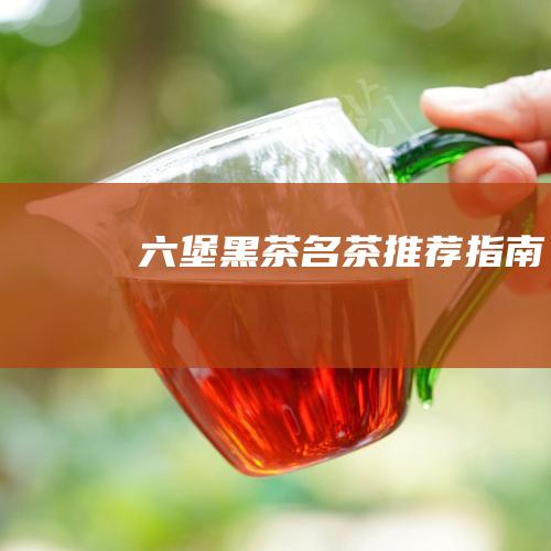 六堡黑茶名茶推荐指南