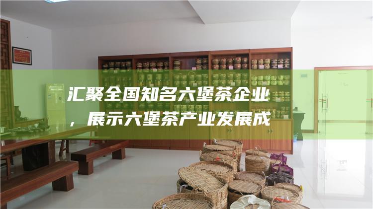 汇聚全国知名六堡茶企业，展示六堡茶产业发展成果