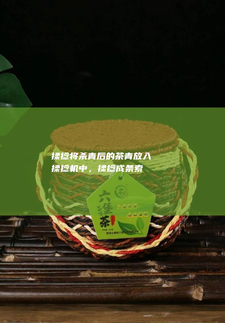 揉捻：将杀青后的茶青放入揉捻机中，揉捻成条索状。