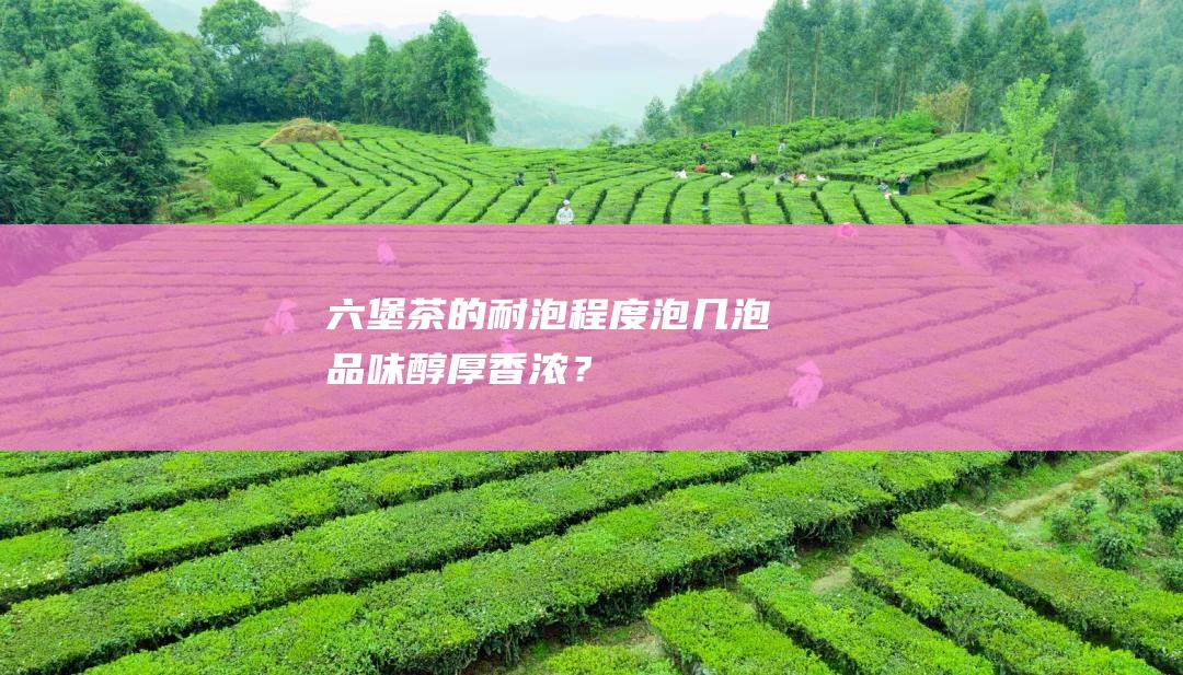 六堡茶的耐泡程度：泡几泡品味醇厚香浓？