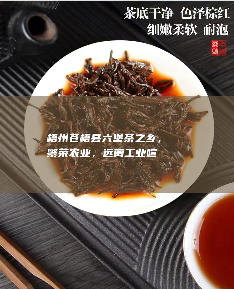 梧州苍梧县：六堡茶之乡，繁荣农业，远离工业喧嚣