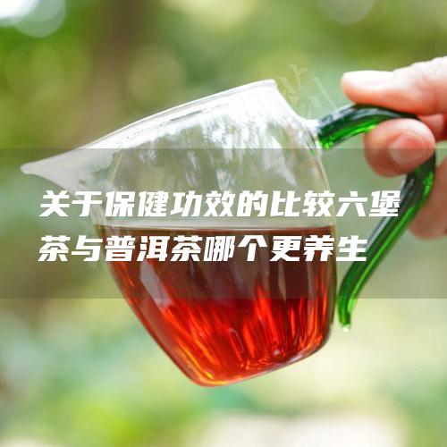 关于保健功效的比较：六堡茶与普洱茶哪个更养生