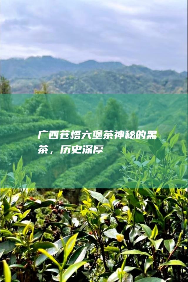 广西苍梧茶神秘的黑茶，历史深厚