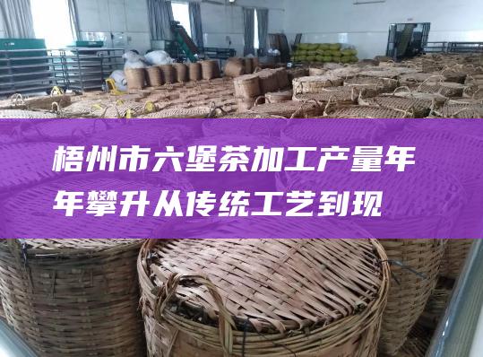 梧州市六堡茶加工产量年年攀升：从传统工艺到现代化产业