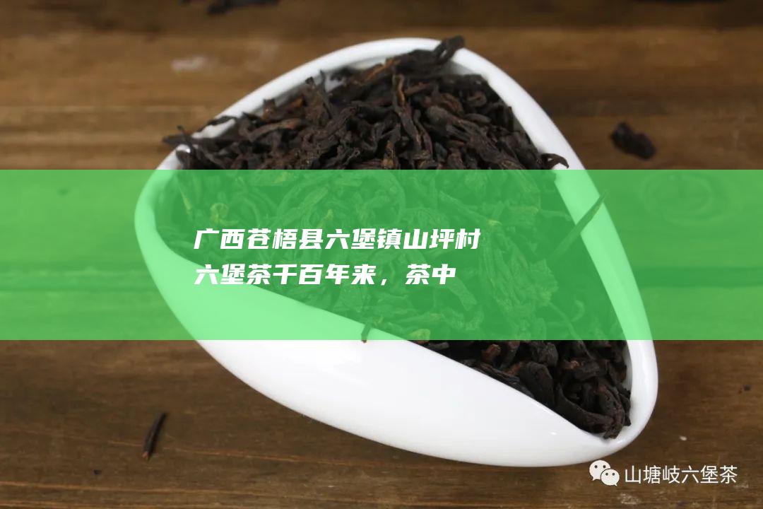 广西苍梧县六堡镇山坪村六堡茶：千百年来，茶中药王的养生传说