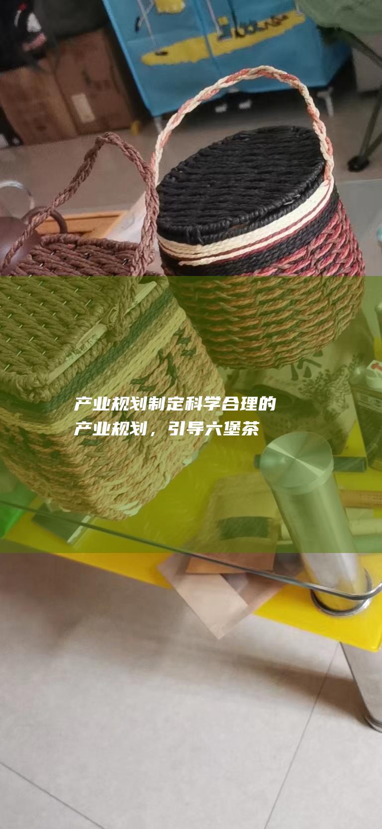 产业规划：制定科学合理的产业规划，引导六堡茶产业健康有序发展。