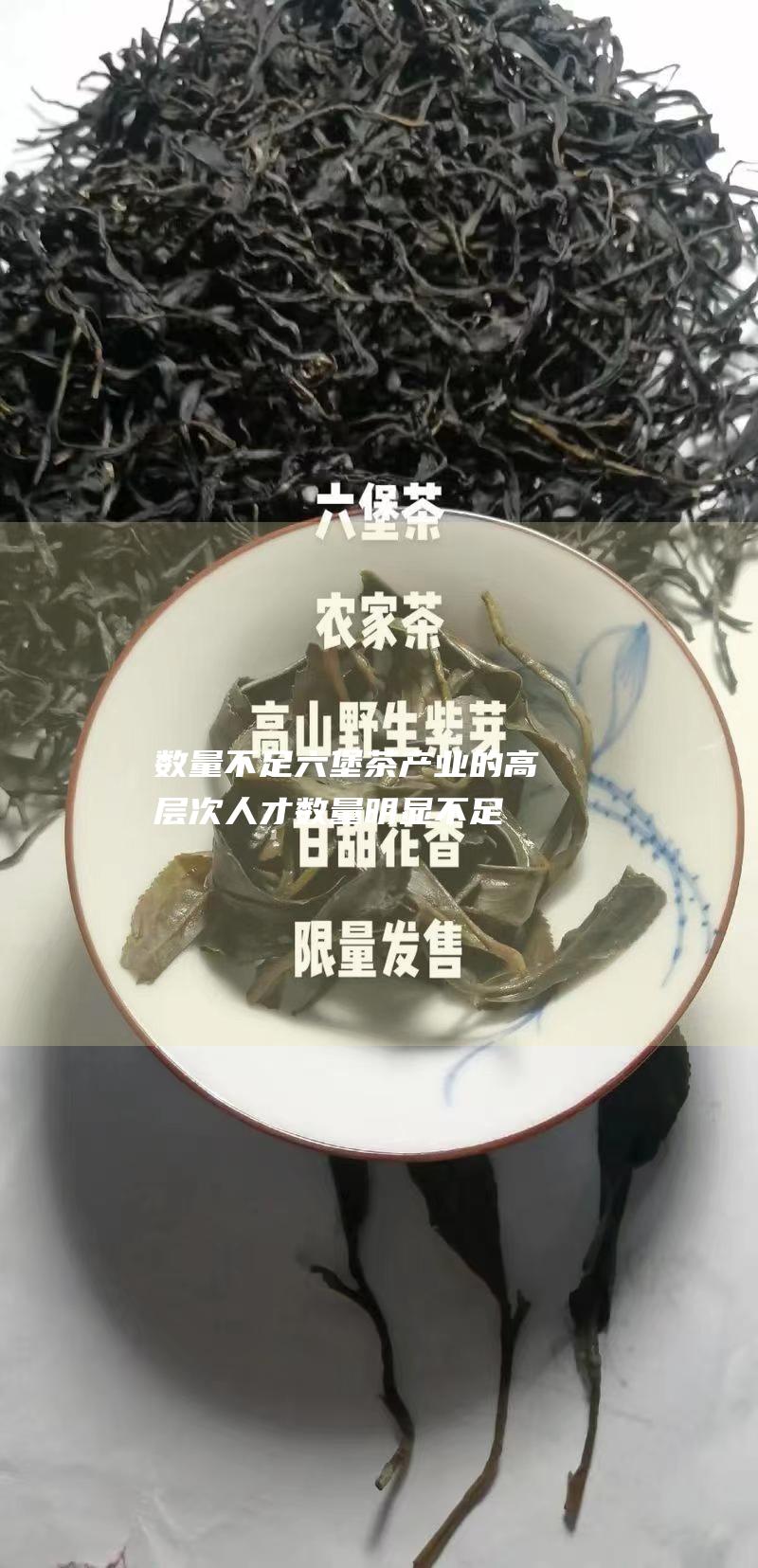 数量不足：六堡茶产业的高层次人才数量明显不足，难以满足产业发展的需求。