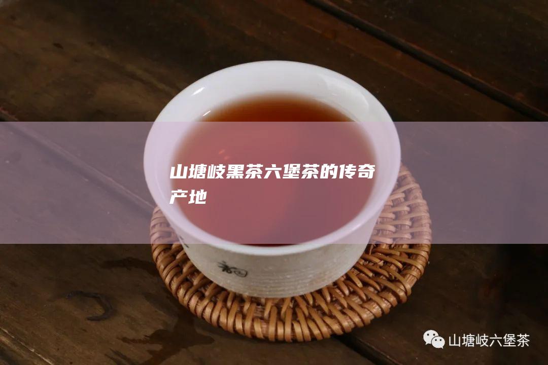 山塘岐黑茶：六堡茶的传奇产地