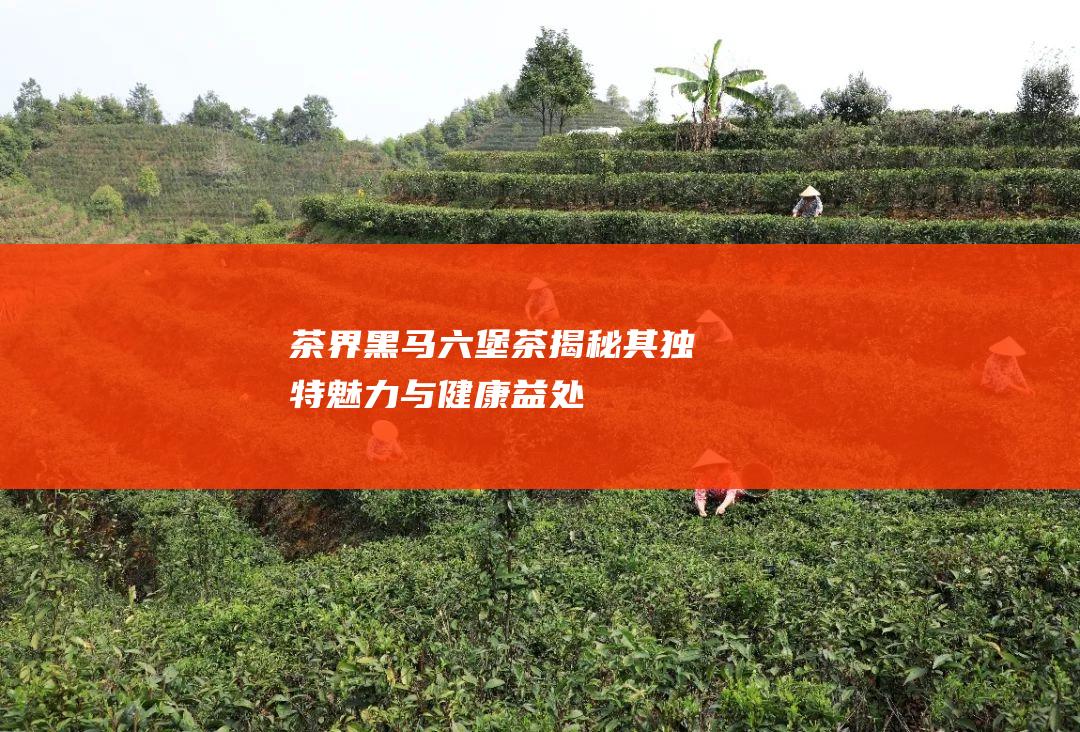 茶界黑马六堡茶揭秘其独特魅力与健康益处