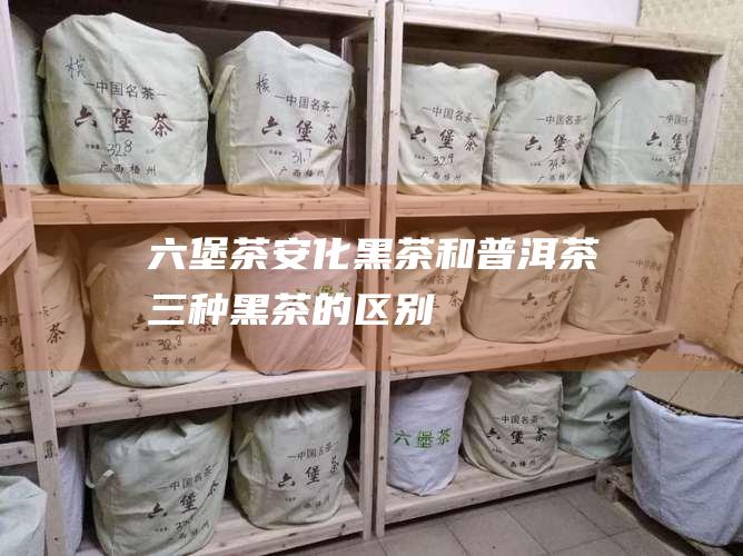 六堡茶、安化黑茶和普洱茶：三种黑茶的区别