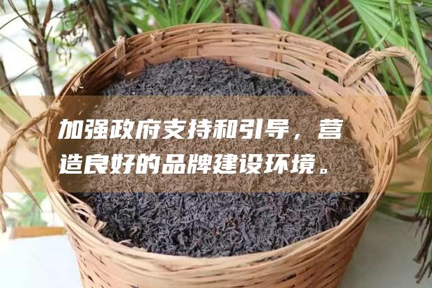 加强政府支持和引导，营造良好的品牌建设环境。