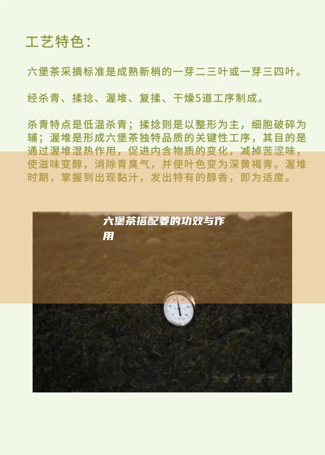 六堡茶搭配姜的功效与作用