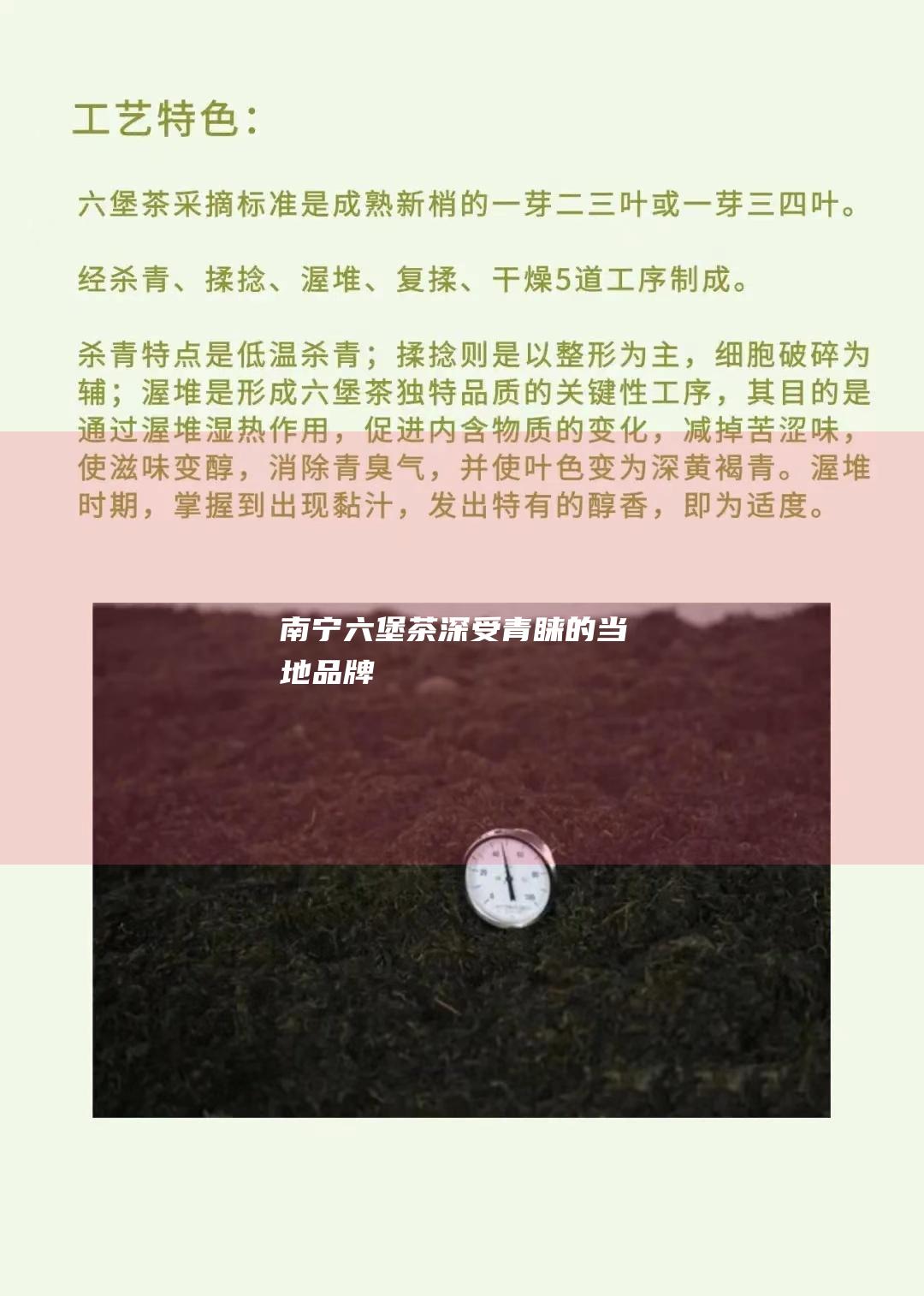 南宁六堡茶深受青睐的当地品牌