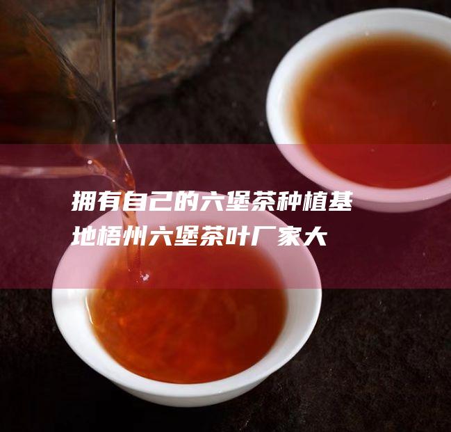 拥有自己的茶基地茶叶厂家大