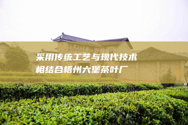 采用传统工艺与现代技术相结合梧州六堡茶叶厂