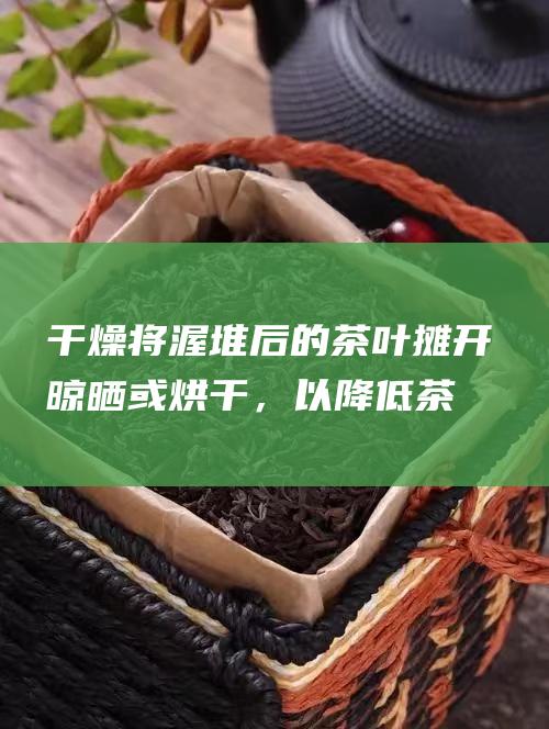 干燥：将渥堆后的茶叶摊开晾晒或烘干，以降低茶叶的水分含量。