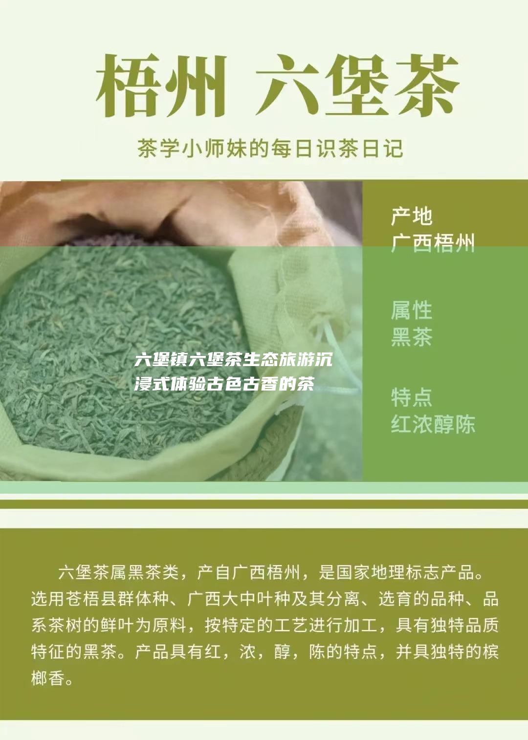 六堡镇六堡茶生态旅游：沉浸式体验古色古香的茶文化和自然奇观