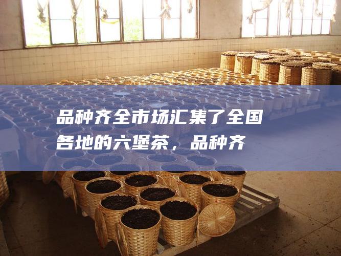 品种齐全：市场汇集了全国各地的六堡茶，品种齐全，涵盖了不同等级、不同年份的六堡茶。