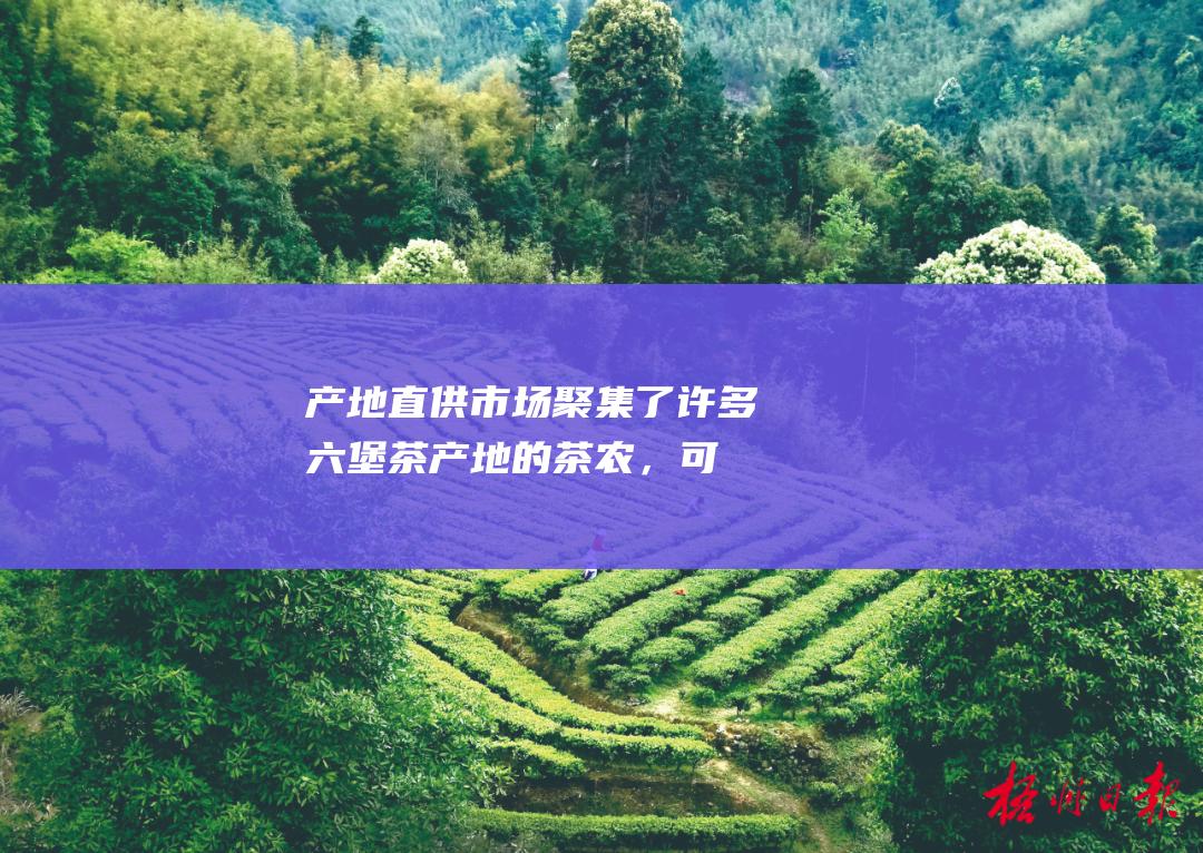 产地直供：市场聚集了许多六堡茶产地的茶农，可以为消费者提供正宗的六堡茶。