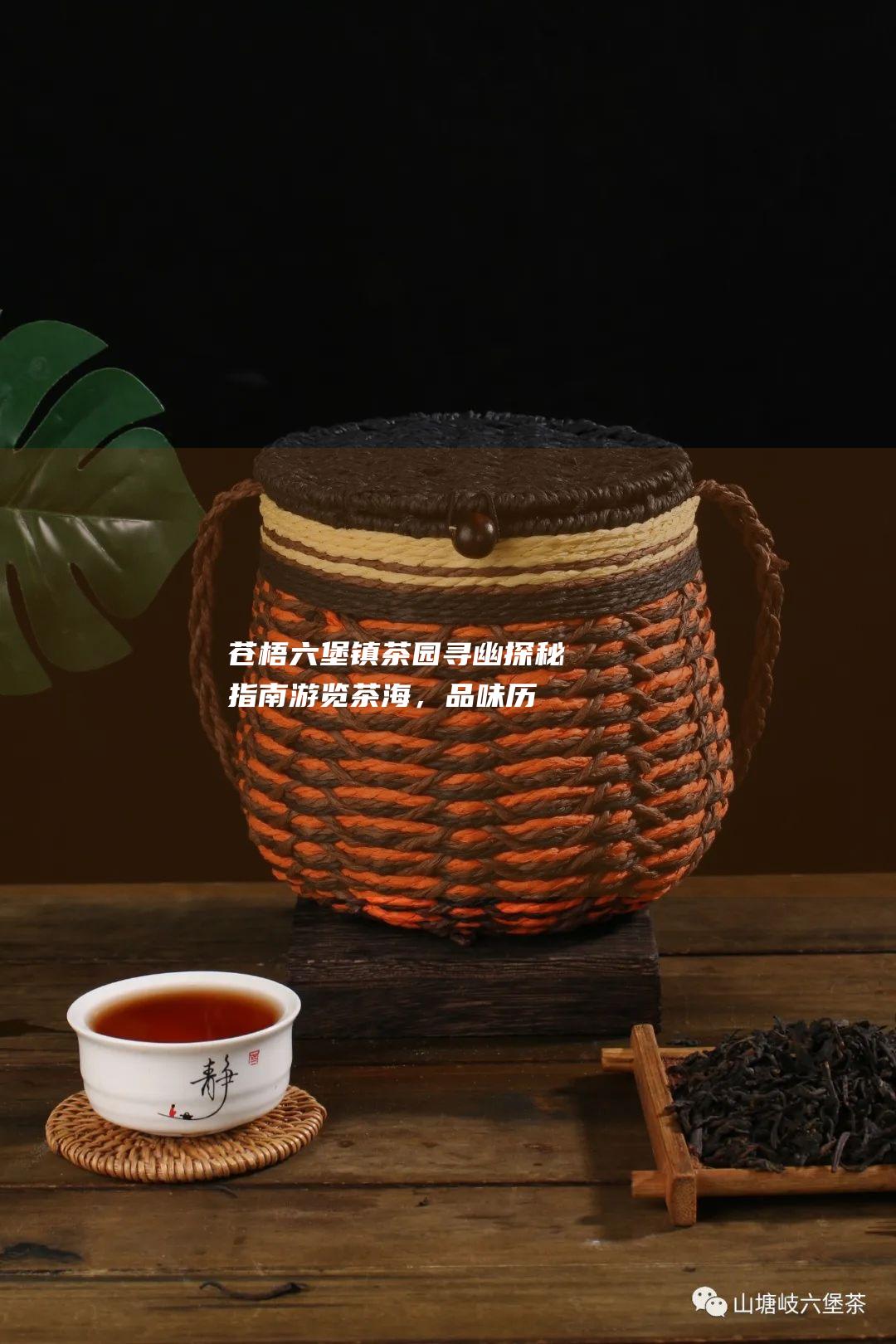 苍梧六堡镇茶园寻幽探秘指南：游览茶海，品味历史文化