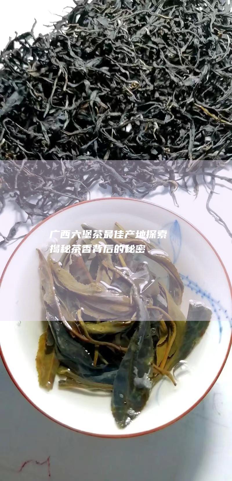 广西六堡茶最佳产地探索：揭秘茶香背后的秘密