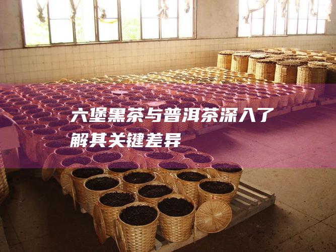 六堡黑茶与普洱茶：深入了解其关键差异