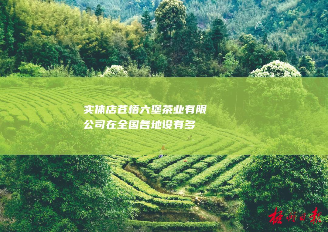 实体店：苍梧六堡茶业有限公司在全国各地设有多家实体店。详情请访问官网查询。