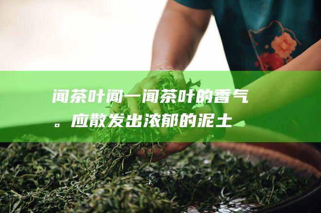 闻茶叶：闻一闻茶叶的香气。应散发出浓郁的泥土香。