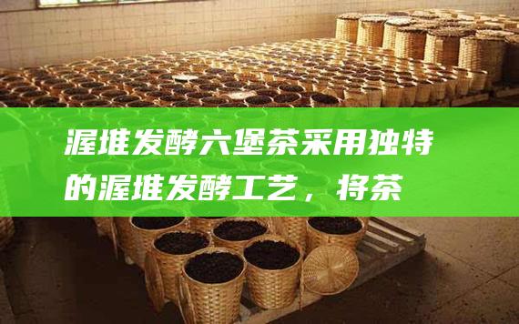 渥堆发酵：六堡茶采用独特的渥堆发酵工艺，将茶叶堆积发酵，形成独特的黑褐色茶汤和浓郁的香气。