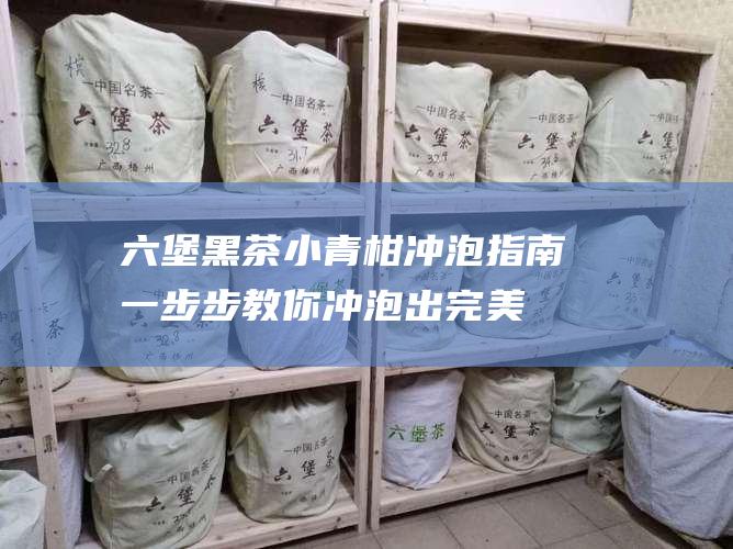 六堡黑茶小青柑冲泡指南：一步步教你冲泡出完美的柑普茶